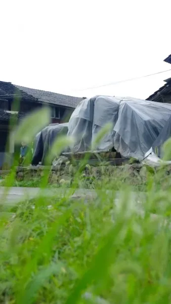 ปีศาจแมวของนายท่าน