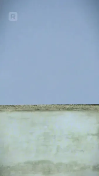 ปีศาจแมวของนายท่าน