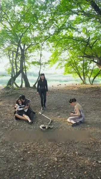 ปีศาจแมวของนายท่าน