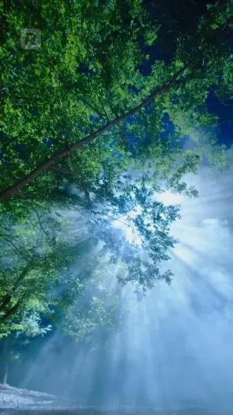 ปีศาจแมวของนายท่าน