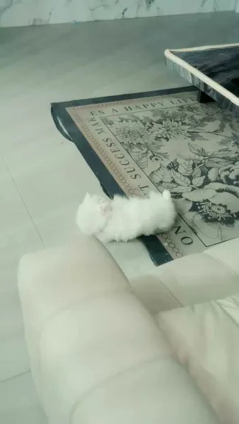 เมื่อรักกลายเป็นฝันร้าย