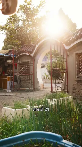 เมื่อซุปตาร์สาว ย้อนสู่ยุค80