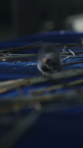 ไม่เป็นไรนะ เราเป็นครอบครัว