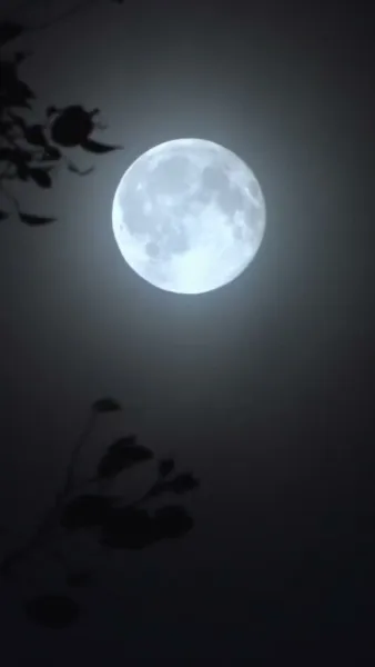 รักที่หวนคืน กับคนเดิมของหัวใจ(พากย์เสียง)