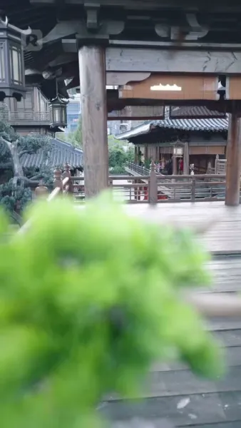 สิ่งที่เคยรังเกียจ บัดนี้กลับไล่ตาม