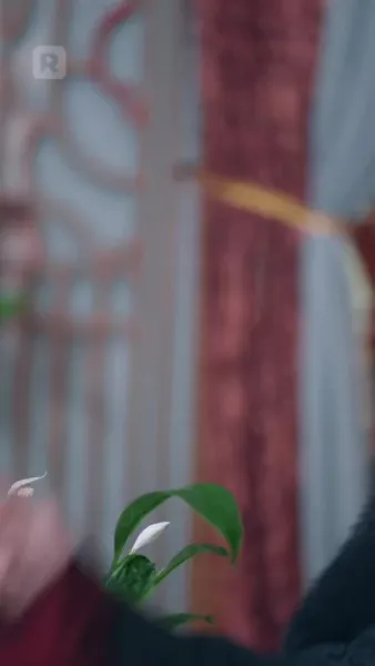 สิ่งที่เคยรังเกียจ บัดนี้กลับไล่ตาม