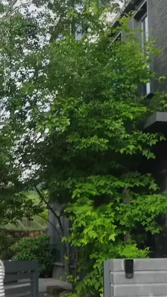 ความเงียบใต้ความรัก