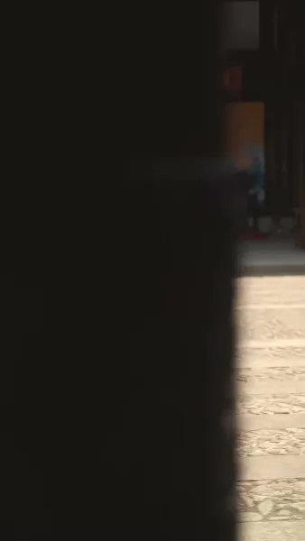 องค์หญิงน้อยนักสืบอัจฉริยะ