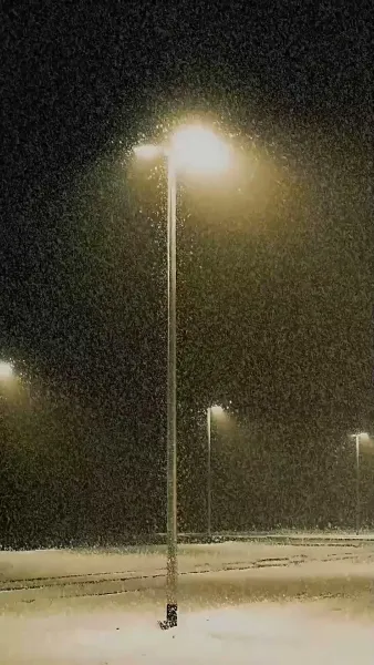 การกลับมาของคุณหนูเศรษฐี