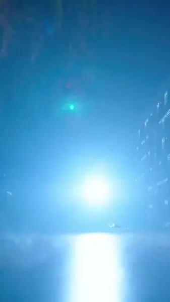 ให้สายลมนำพาจูบของเธอมา