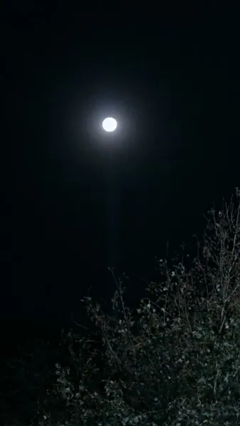 [พากย์เสียง] เปิดเกมยุคอดอยาก ฉันเลี้ยงดูท่านอ๋องด้วยมิติเก็บของ