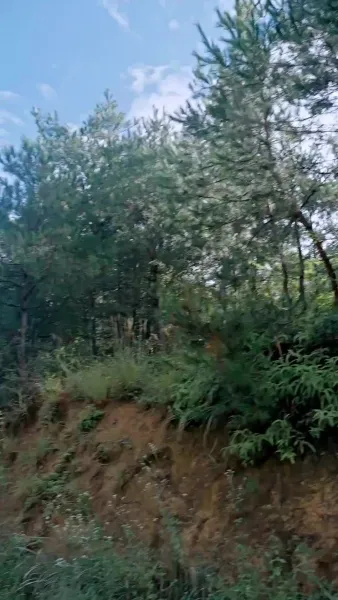 [พากย์เสียง] เปิดเกมยุคอดอยาก ฉันเลี้ยงดูท่านอ๋องด้วยมิติเก็บของ