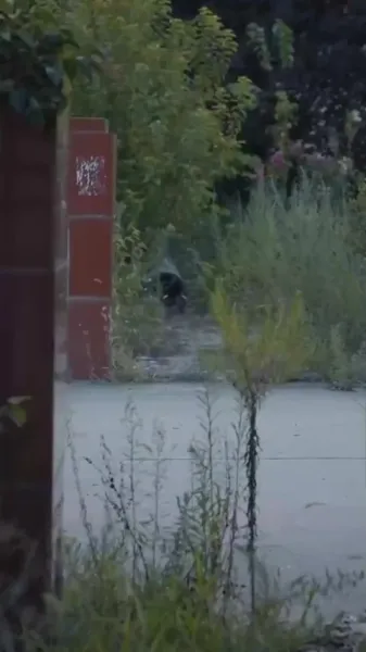 สุภาพสตรีแห่งศักดิ์ศรี