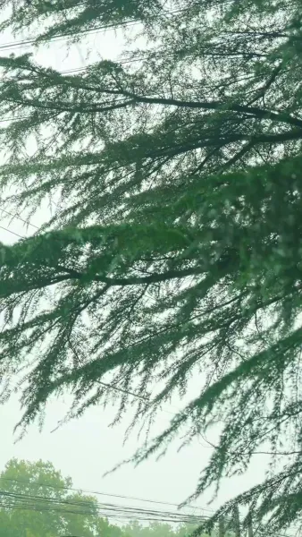 ครั้งนี้ เธอจะเป็นผู้ชนะ