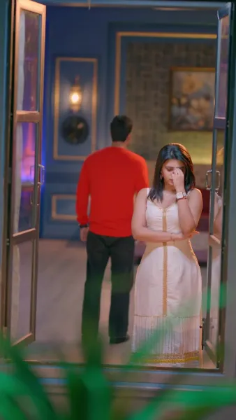 แต่งงาน กับศัตรู