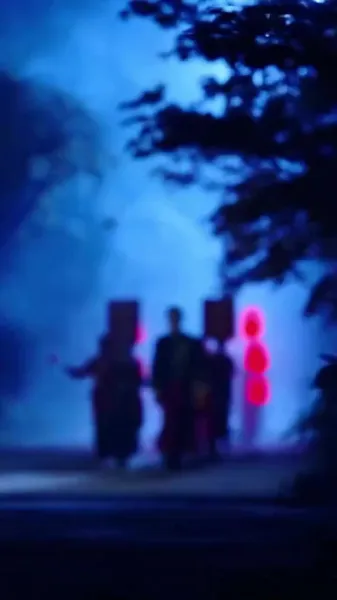 ยุนเมี่ยว 2: ฉันฝึกฝนมาหลายปี แล้วถ้าฉันแข็งแกร่งขึ้นล่ะ?