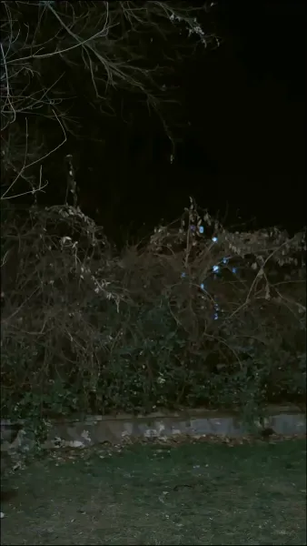 รักนี้มีเพียงเธอ 