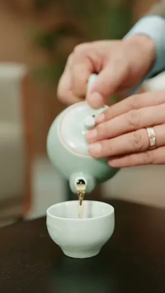 บ่วงรักพญาคำรณ