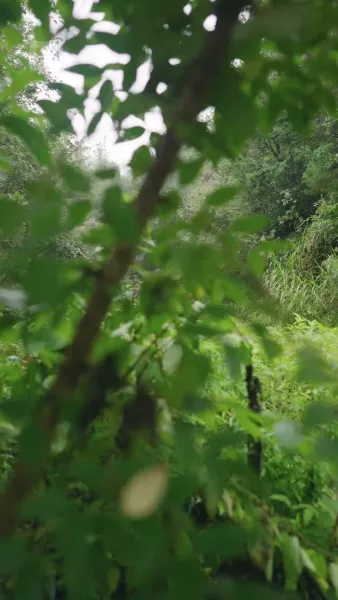 (พากย์) ชีวิตเช็ตโกง เริ่มที่การมีคู่ชีวิต