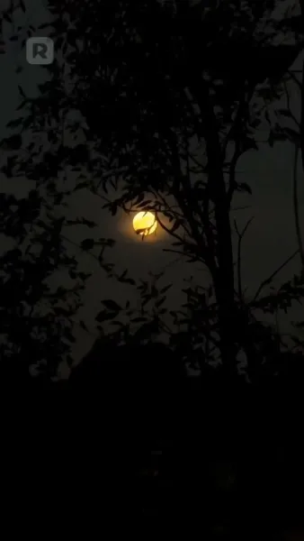 (พากย์) ชีวิตเช็ตโกง เริ่มที่การมีคู่ชีวิต