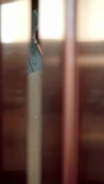 ความรักที่ผิดพลาด