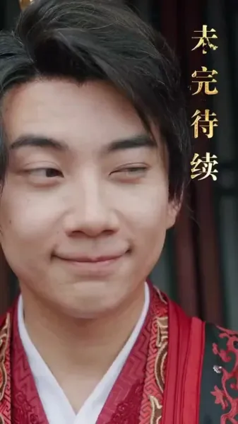 บุตรเขยคนแรกแห่งต้าเซี่ย