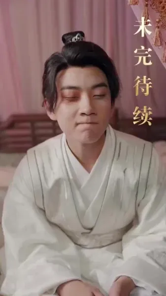 บุตรเขยคนแรกแห่งต้าเซี่ย