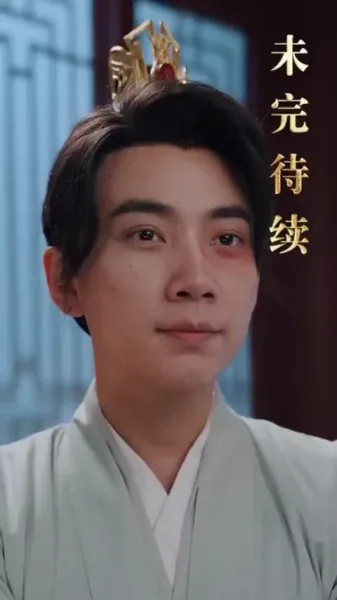 บุตรเขยคนแรกแห่งต้าเซี่ย