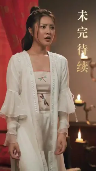 บุตรเขยคนแรกแห่งต้าเซี่ย