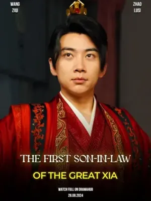 บุตรเขยคนแรกแห่งต้าเซี่ย