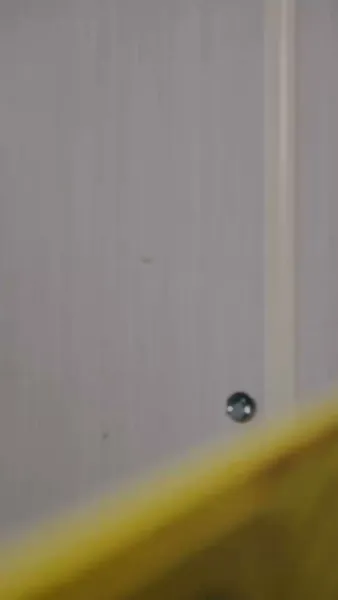 เสียงจากวิญญาณผู้เป็นแม่   