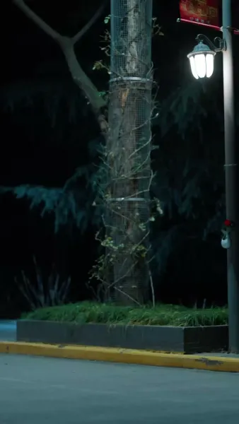 รักออนไลน์ชนดาวมหาลัย