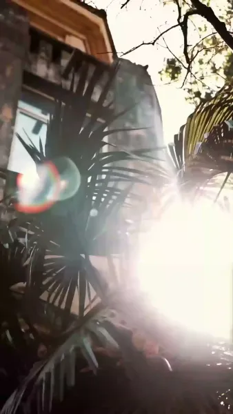 หลังทรยศเธอ, ฉันแอบตายเพื่อเกิดใหม่