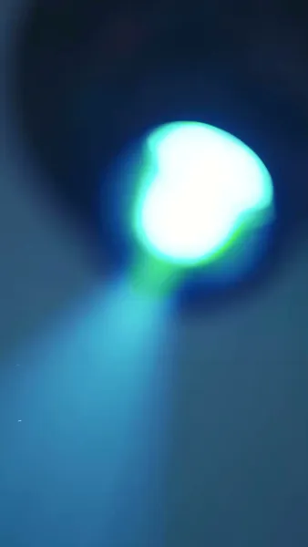 แฝดสามสุดแสบมาป่วนรัก 