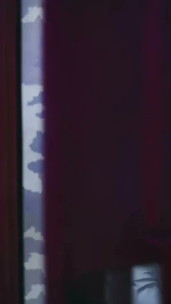 แฝดสามสุดแสบมาป่วนรัก 