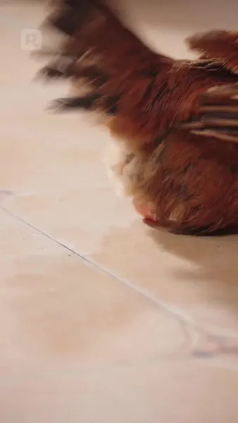 ลูกของคุณเป็นเด็กน้อยมหัศจรรย์