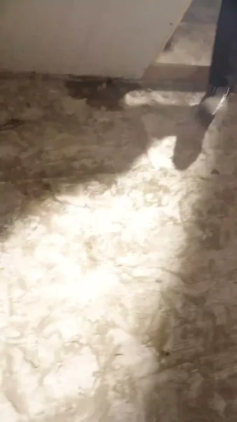 เมียหวานใจ ของสามีคลั่งรัก