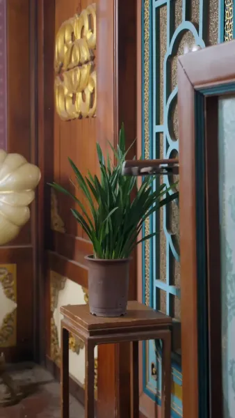 รักแลกชีวิตสายลม