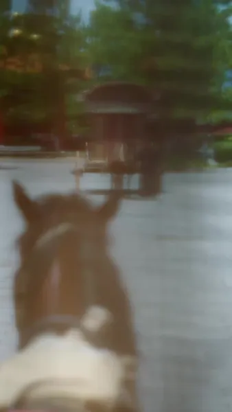 รักแลกชีวิตสายลม