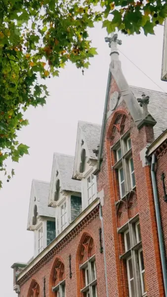 คู่หมั้นจำเป็น หัวใจไม่จำลอง