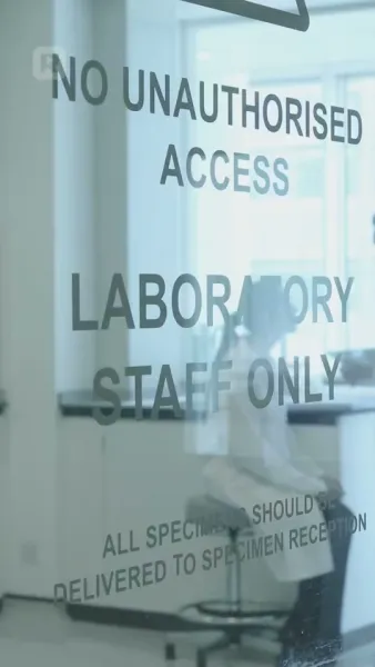 เจ้าสาวของแวมไพร์