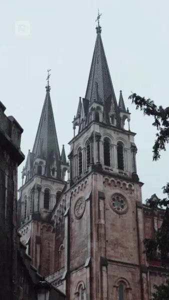 เจ้าสาวของแวมไพร์