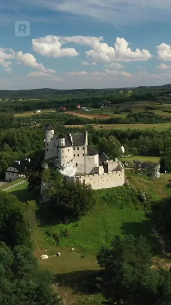 หลงรักอัลฟ่า