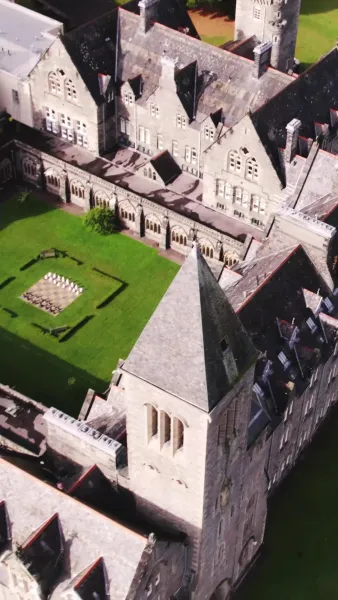 หลงรักอัลฟ่า