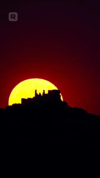 หลงรักอัลฟ่า