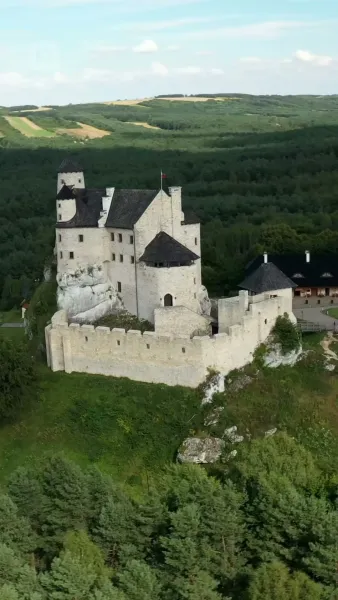 หลงรักอัลฟ่า