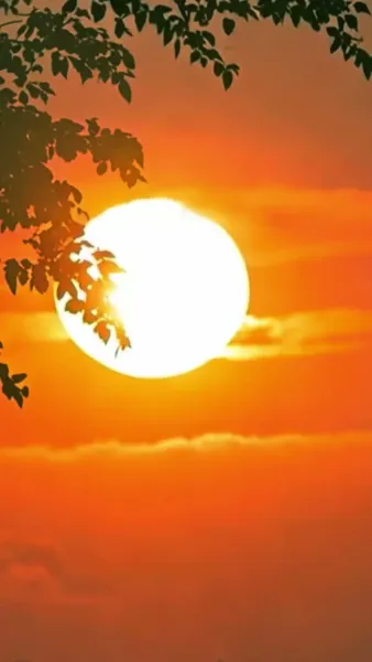 ผีร้ายในข้าวสาร