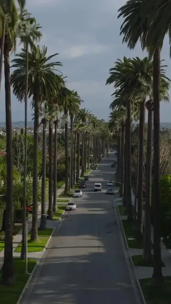 โอ้พระเจ้า! คุณเป็นพ่อลูกของฉัน!