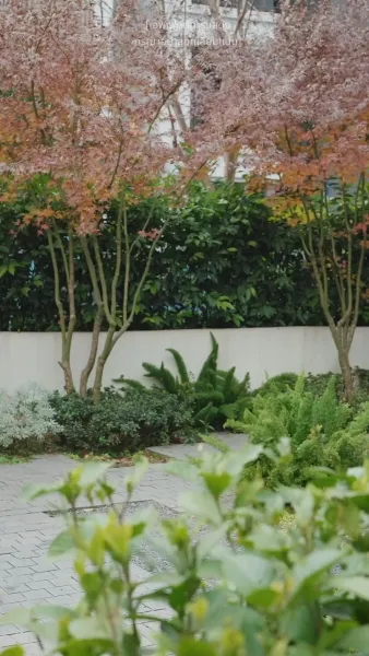 แด่เธอผู้เจิดจรัสกว่าใคร