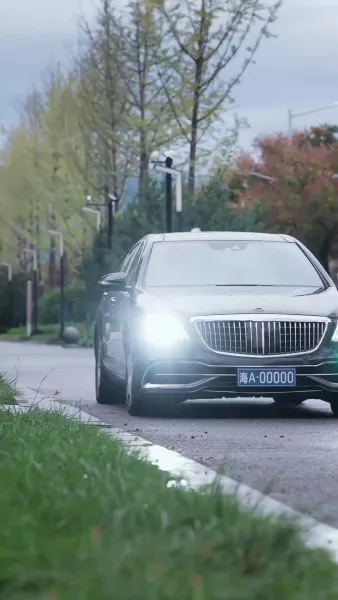 ราชินีแห่งเถ้าถ่าน